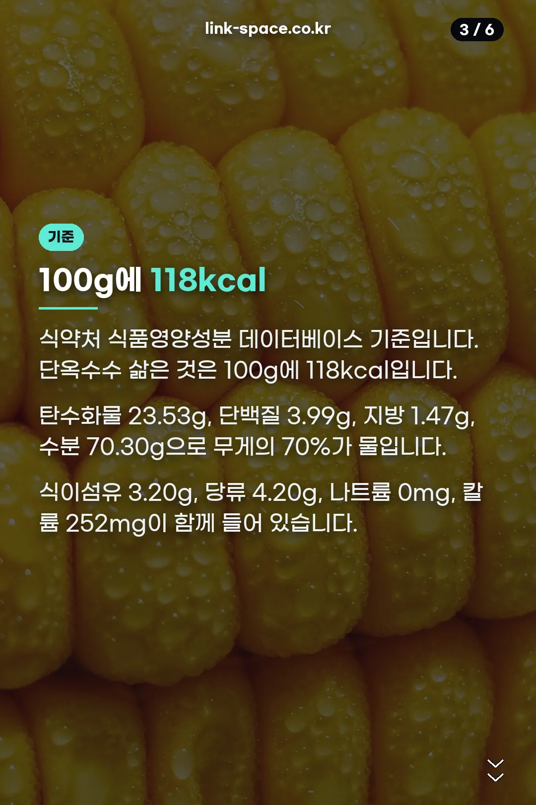 100g당 영양성분