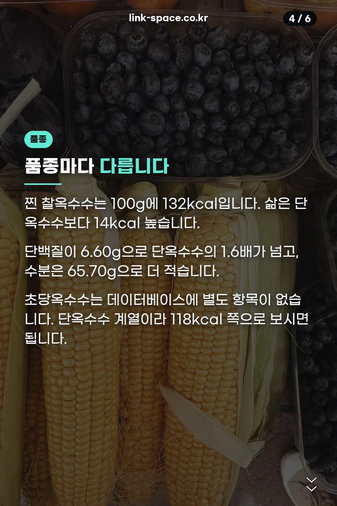 찰옥수수와 초당옥수수