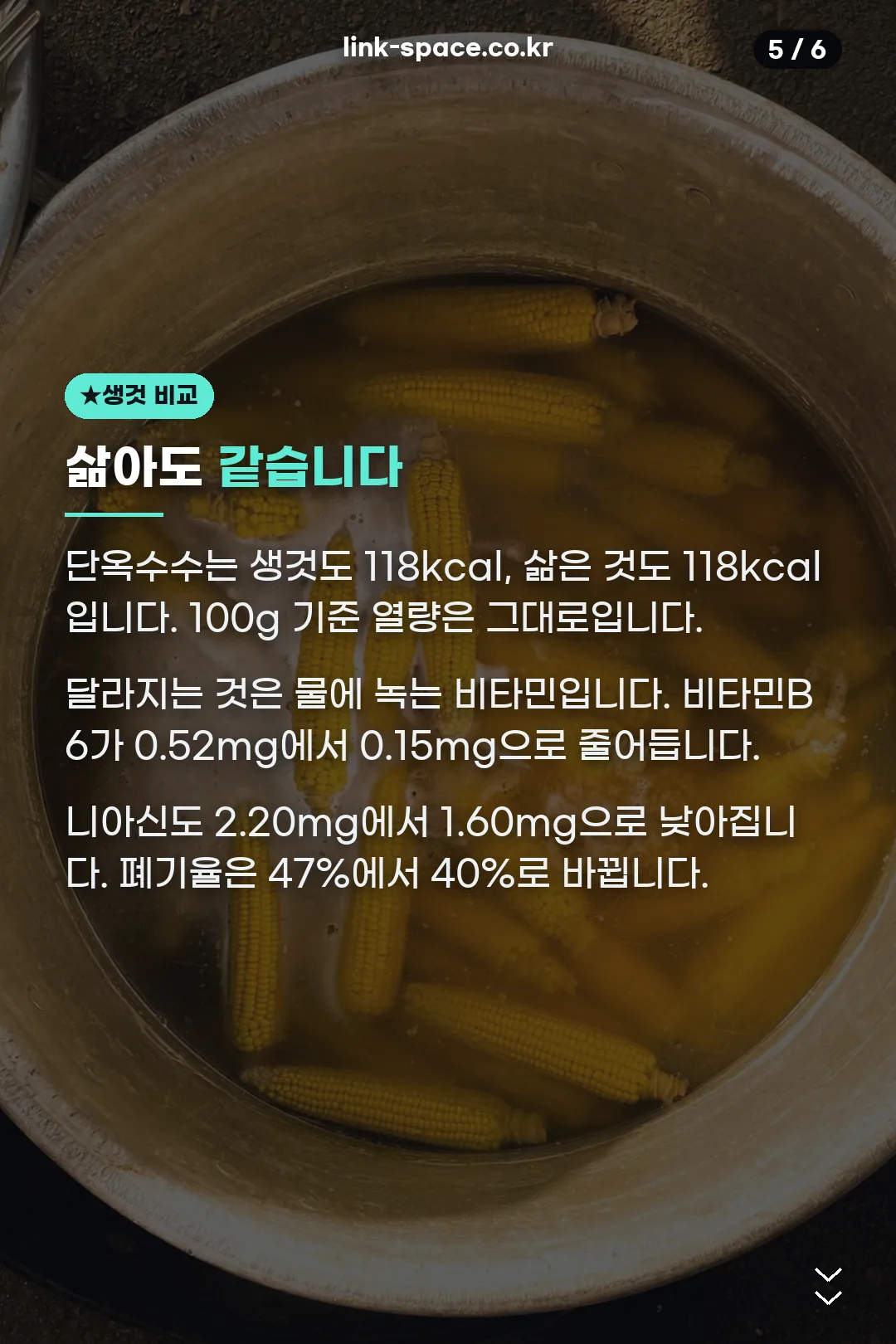 생것과 삶은 것 비교