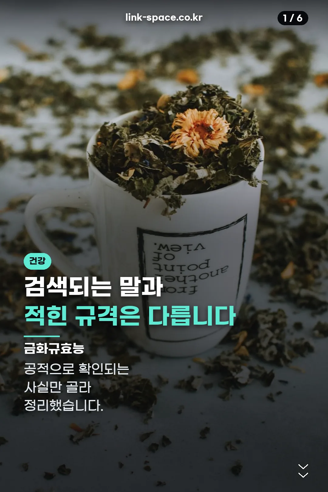 금화규효능 표지