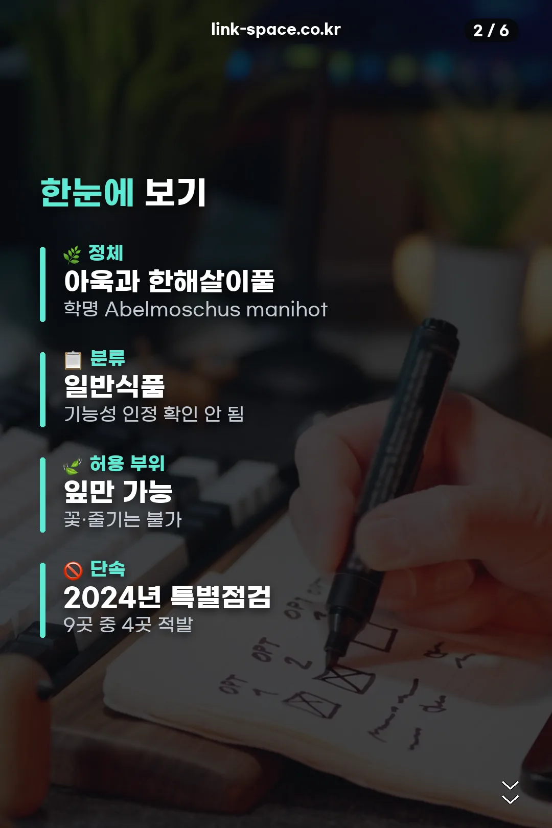 핵심 요약