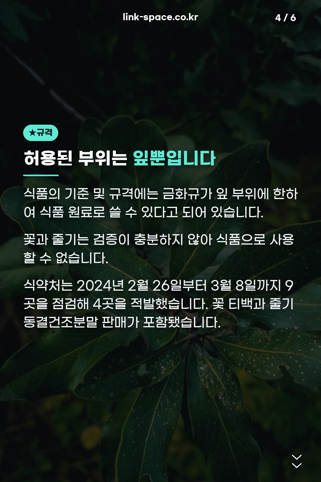허용 부위와 단속