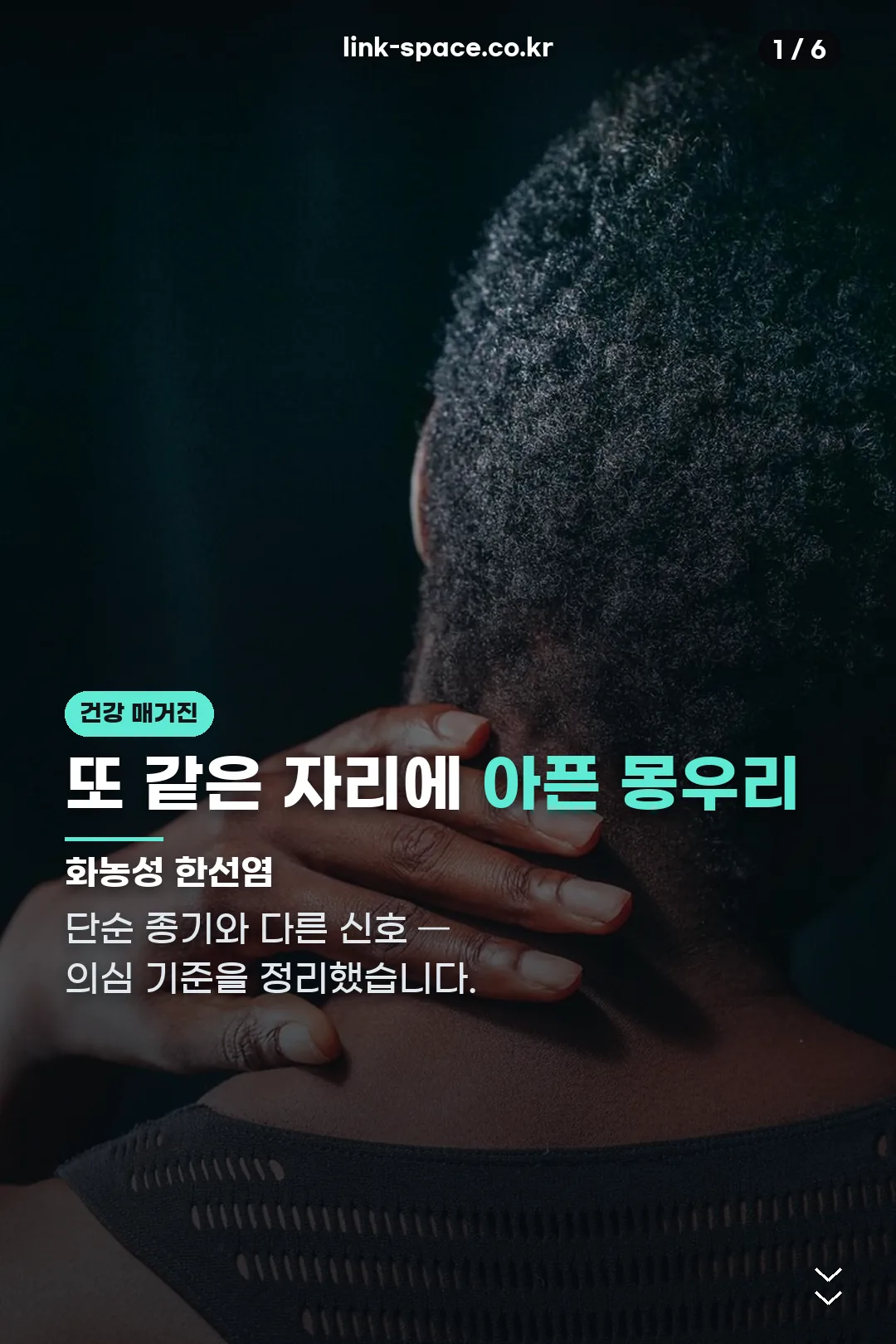 화농성 한선염 표지