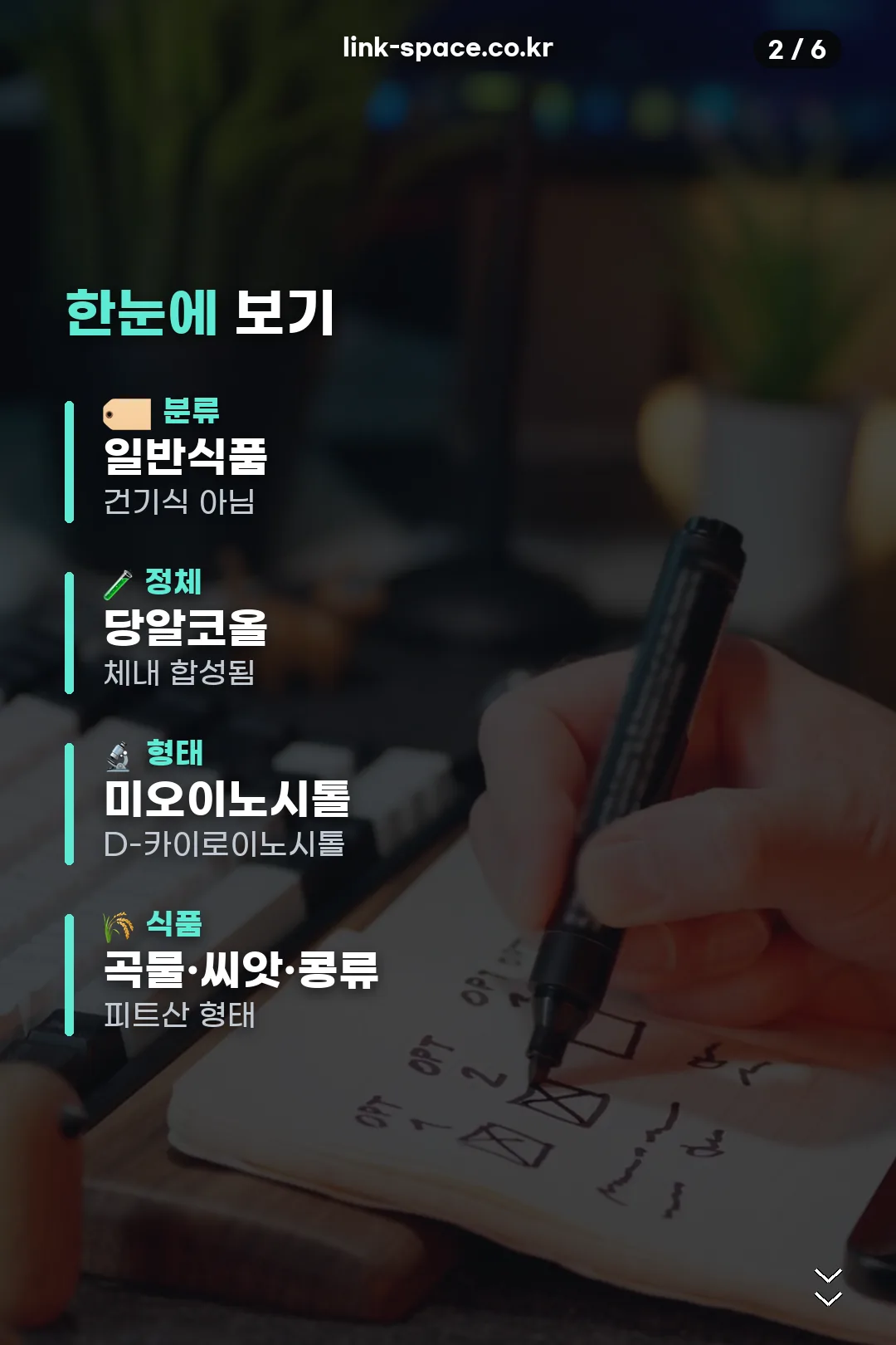 분류와 형태 요약