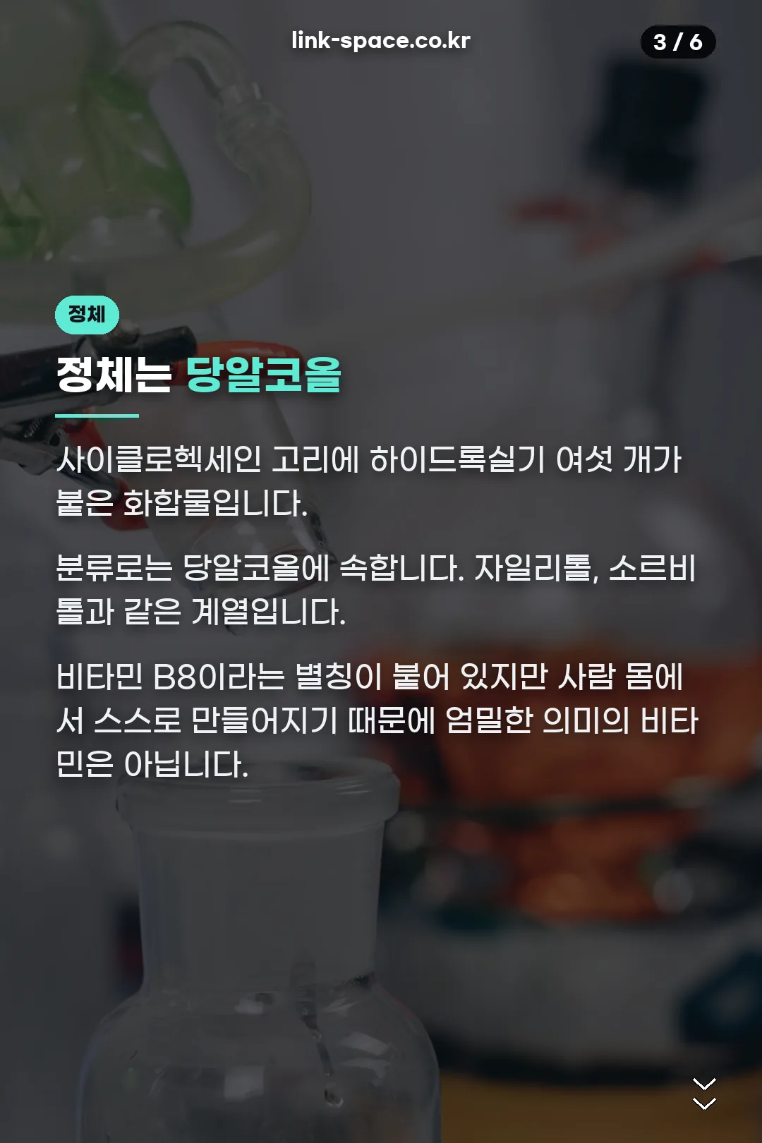 이노시톨의 정체