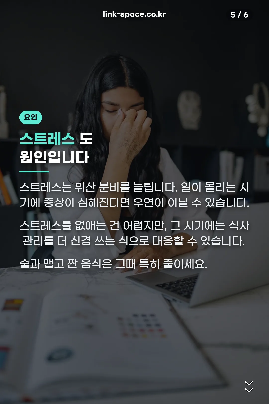 스트레스 요인