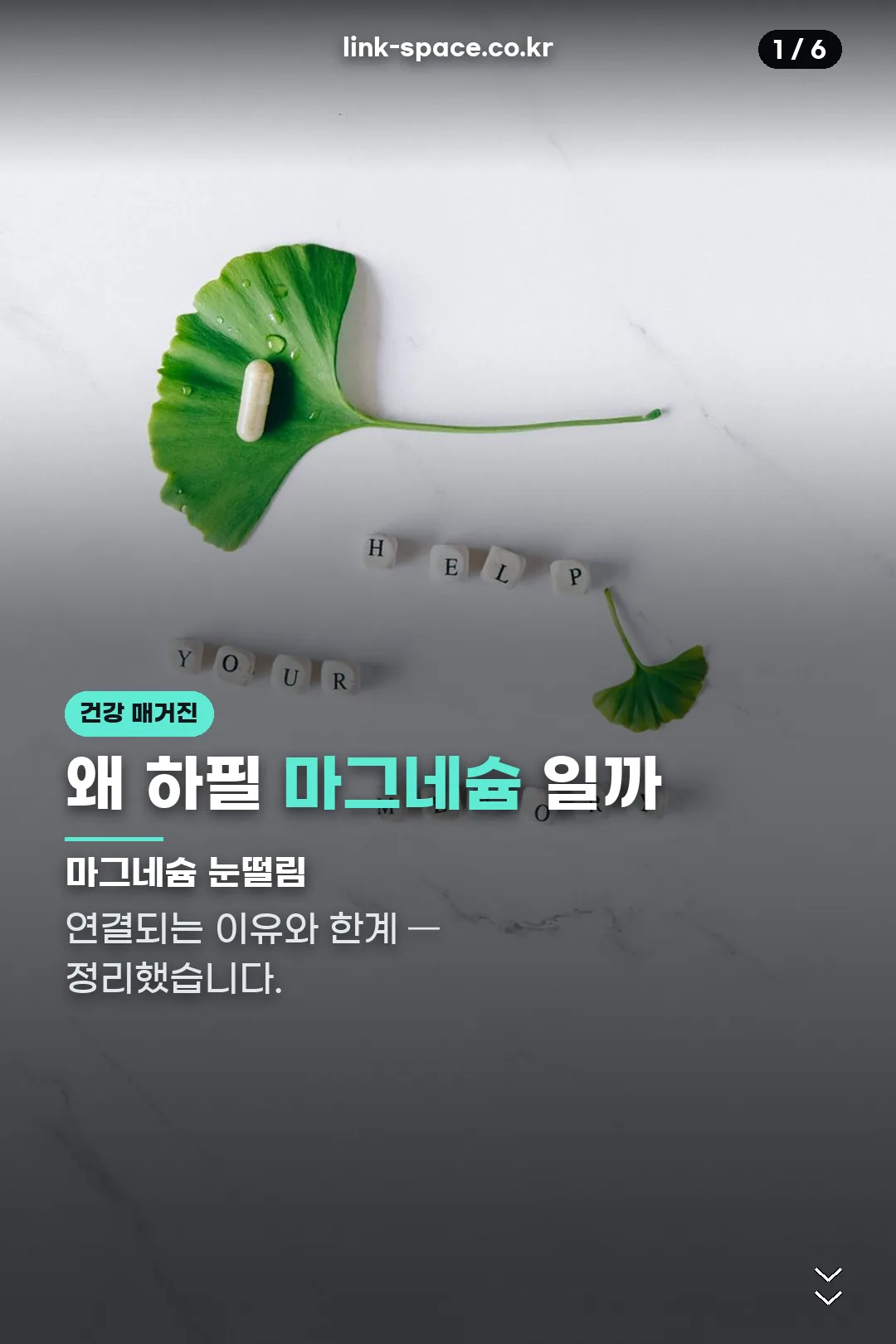 마그네슘 눈떨림 표지