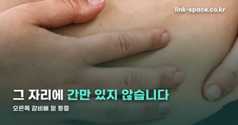 오른쪽 갈비뼈 밑 통증 — 그 자리에는 간만 있지 않습니다