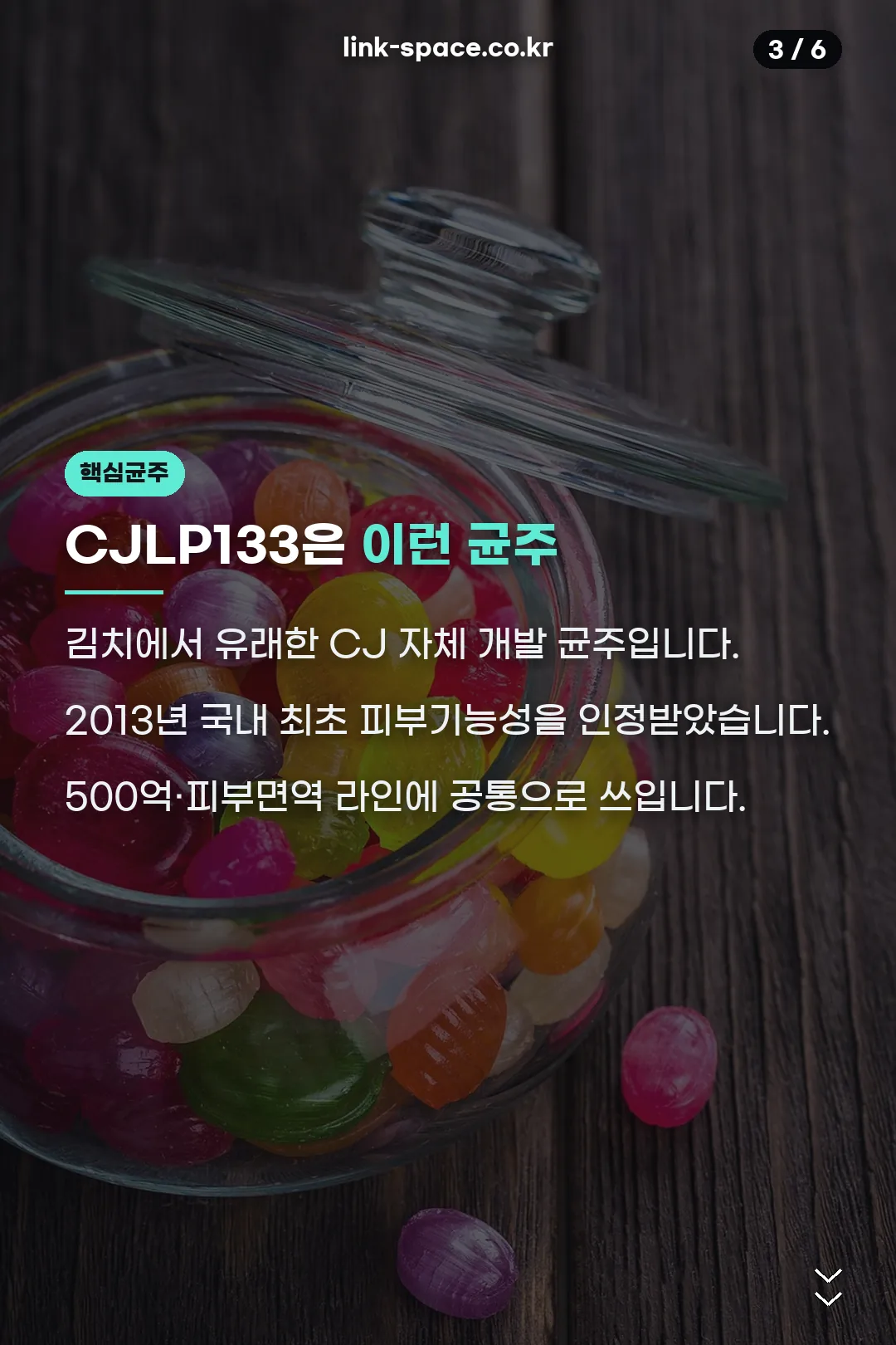 CJLP133 핵심 균주
