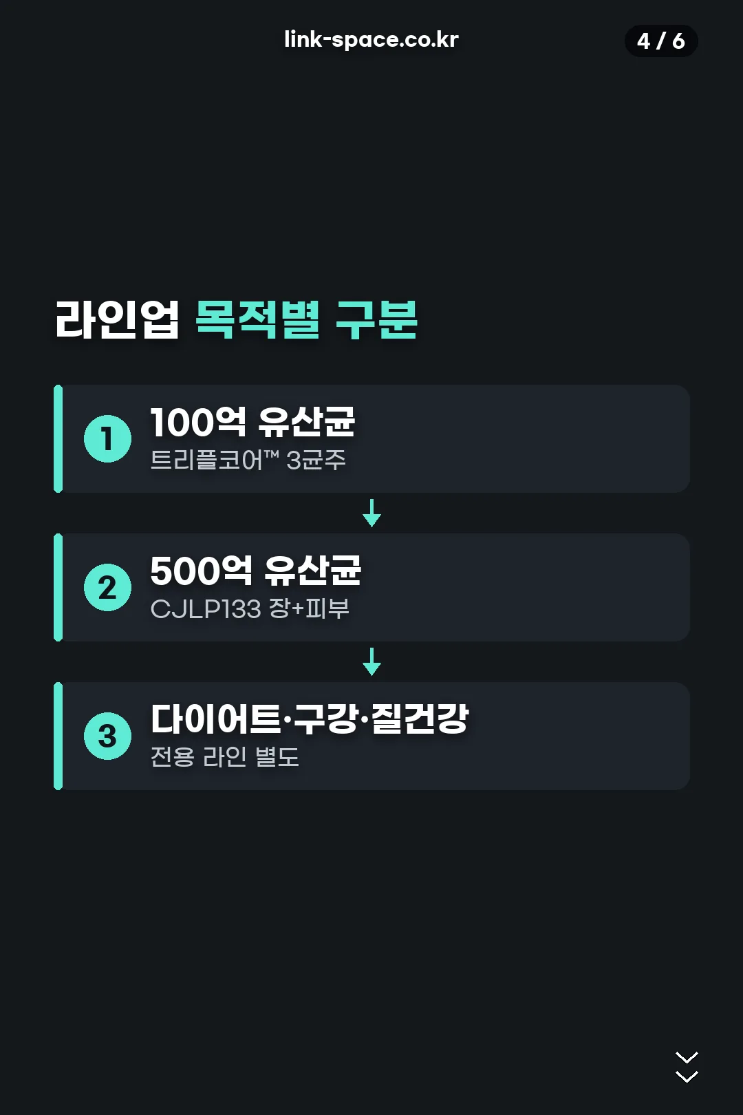 목적별 라인업 구분