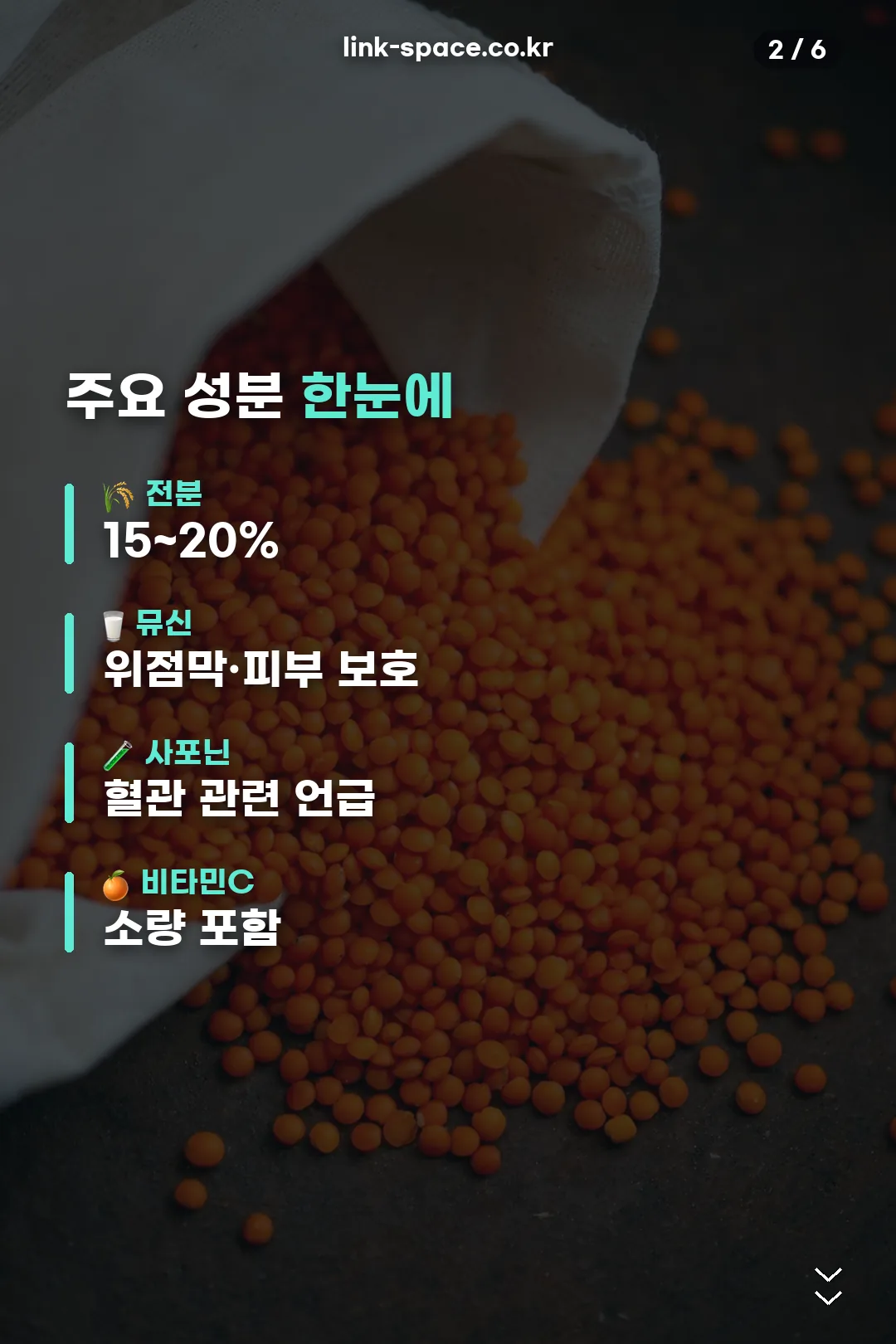 주요 성분 한눈에