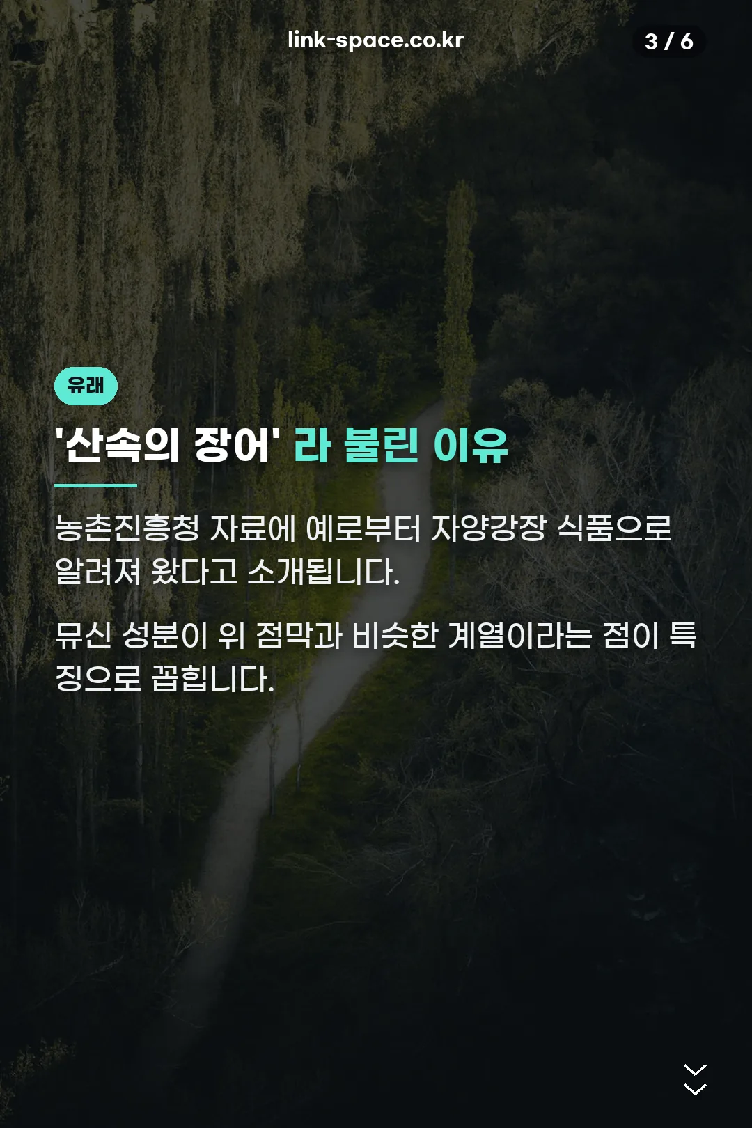 산속의 장어 유래