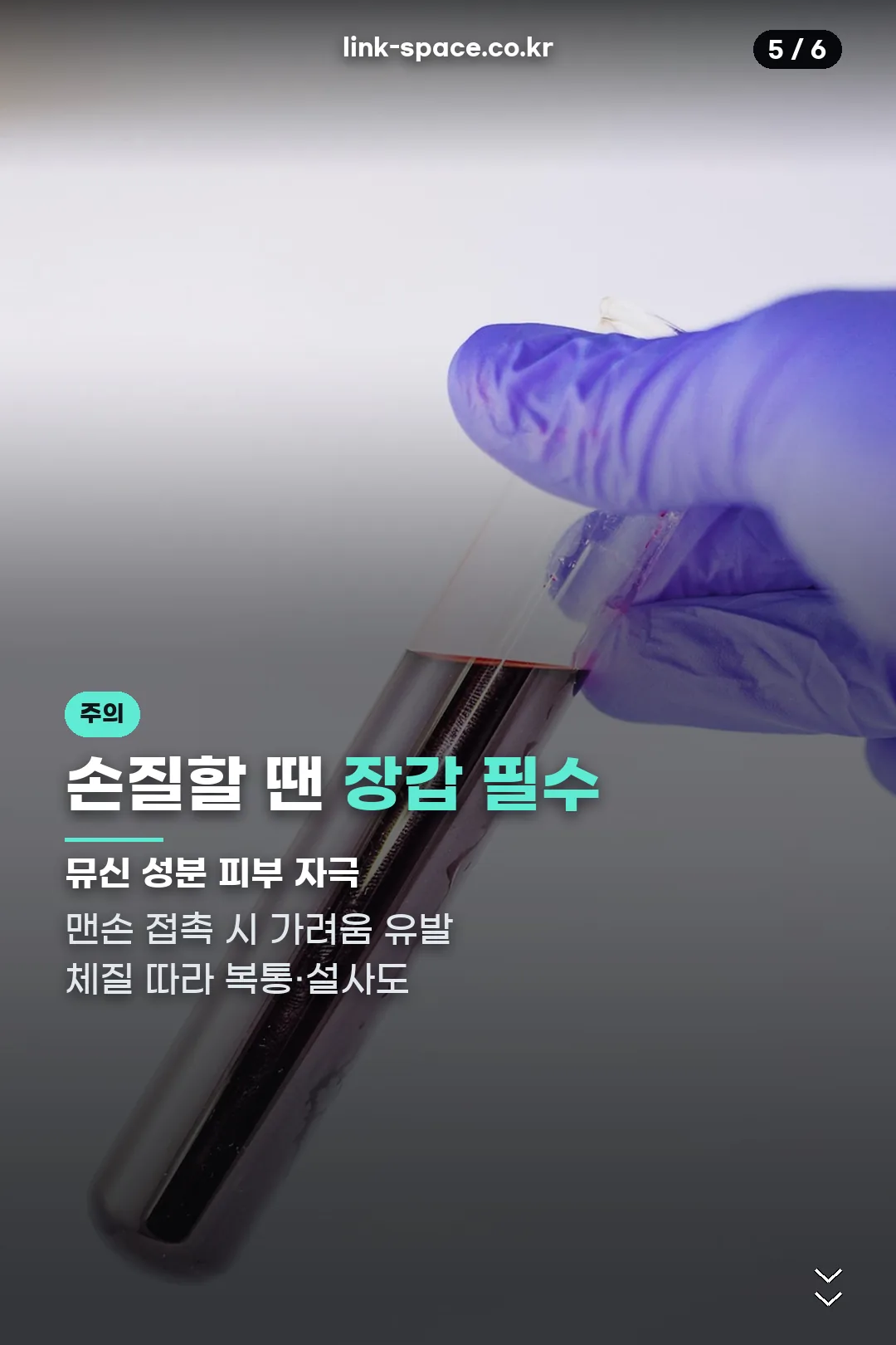 손질 시 주의사항