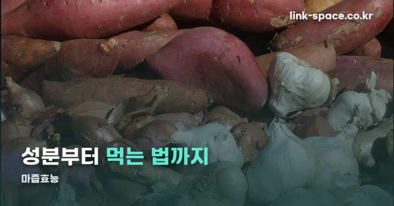 마즙효능 성분과 만드는 법 확인된 사실로 정리