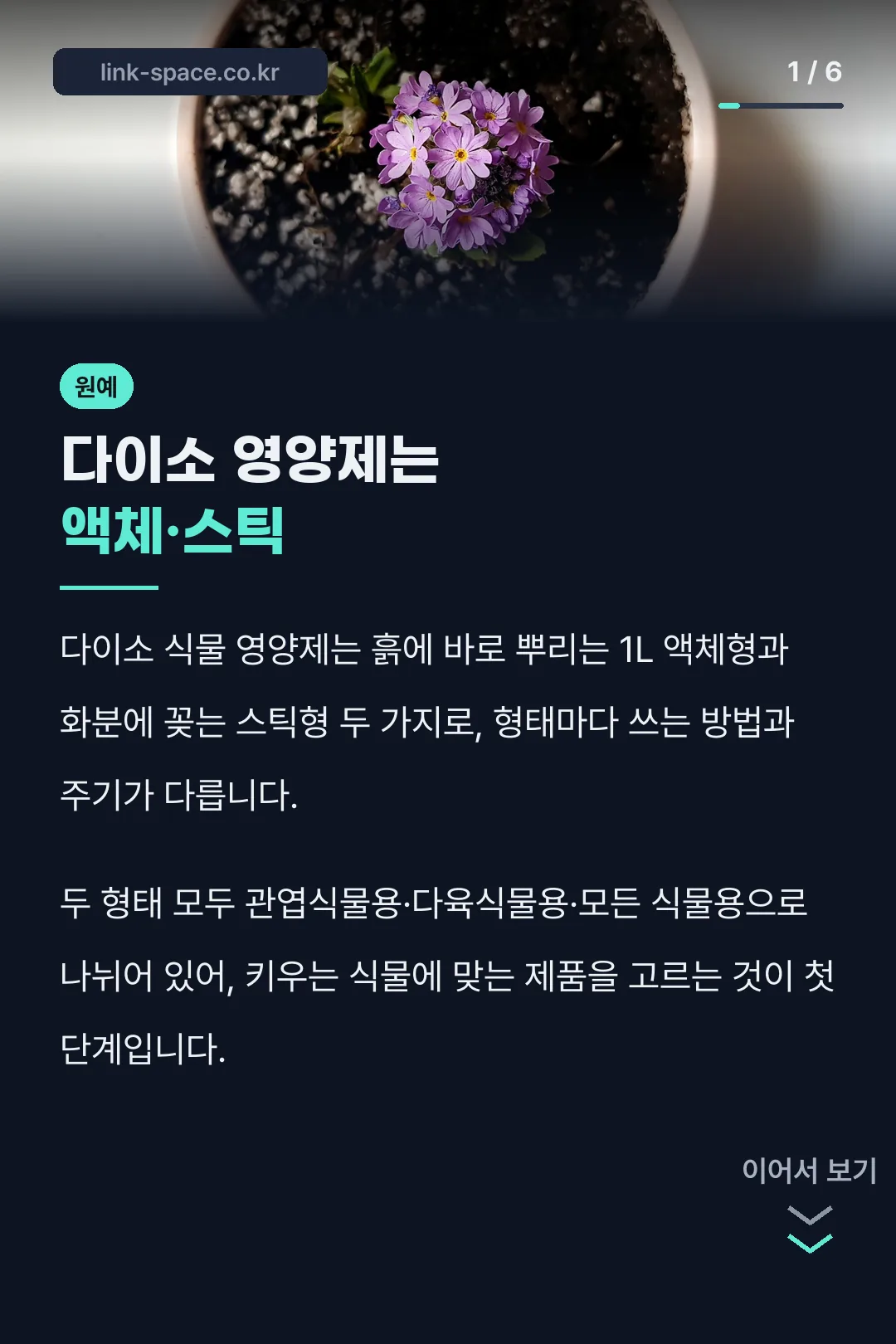 다이소 영양제는 액체·스틱