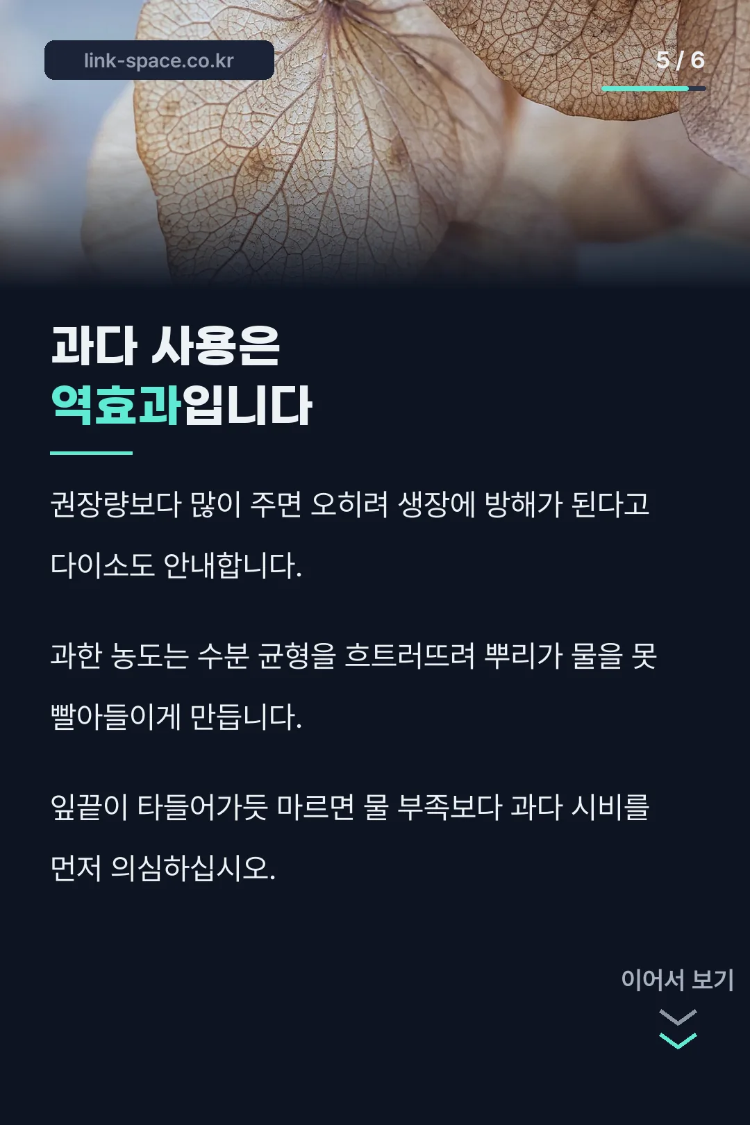 과다 사용 주의사항