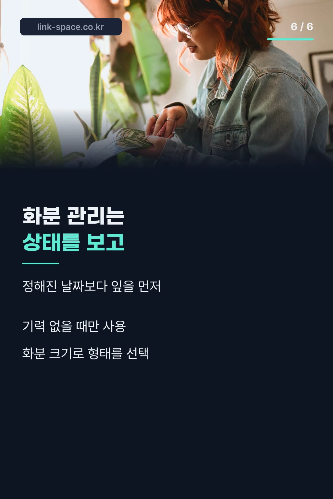 화분 관리 마무리 팁