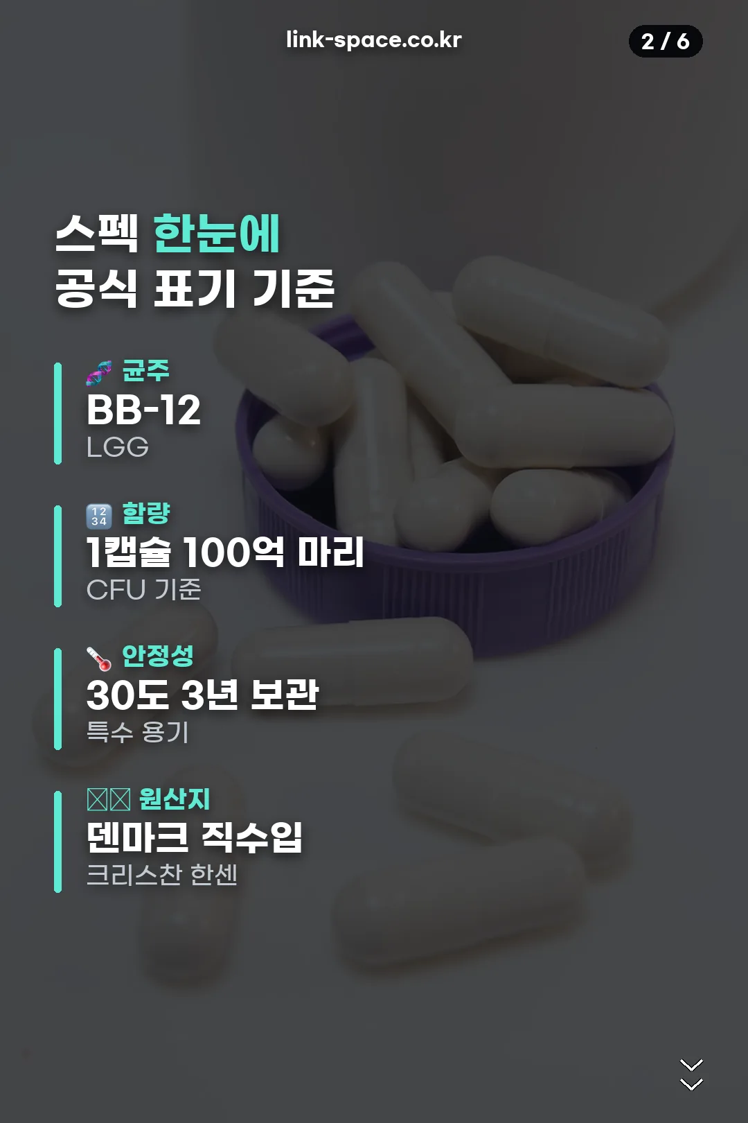 스펙 한눈에 보기