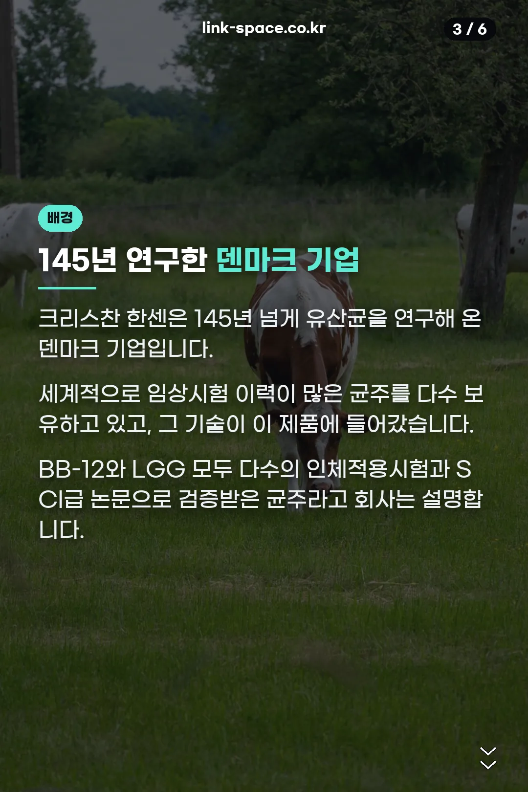 덴마크 크리스찬 한센 이야기