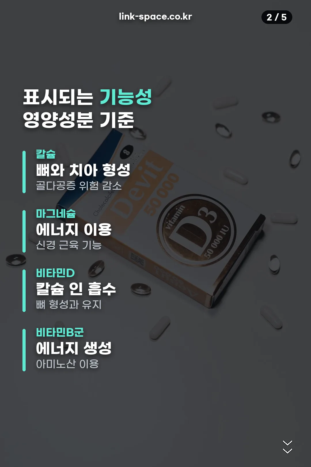 표시되는 기능성 정리