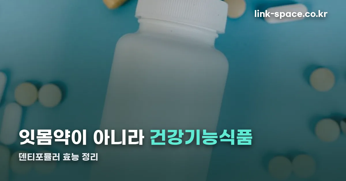 덴티포뮬러효능 정리 썸네일