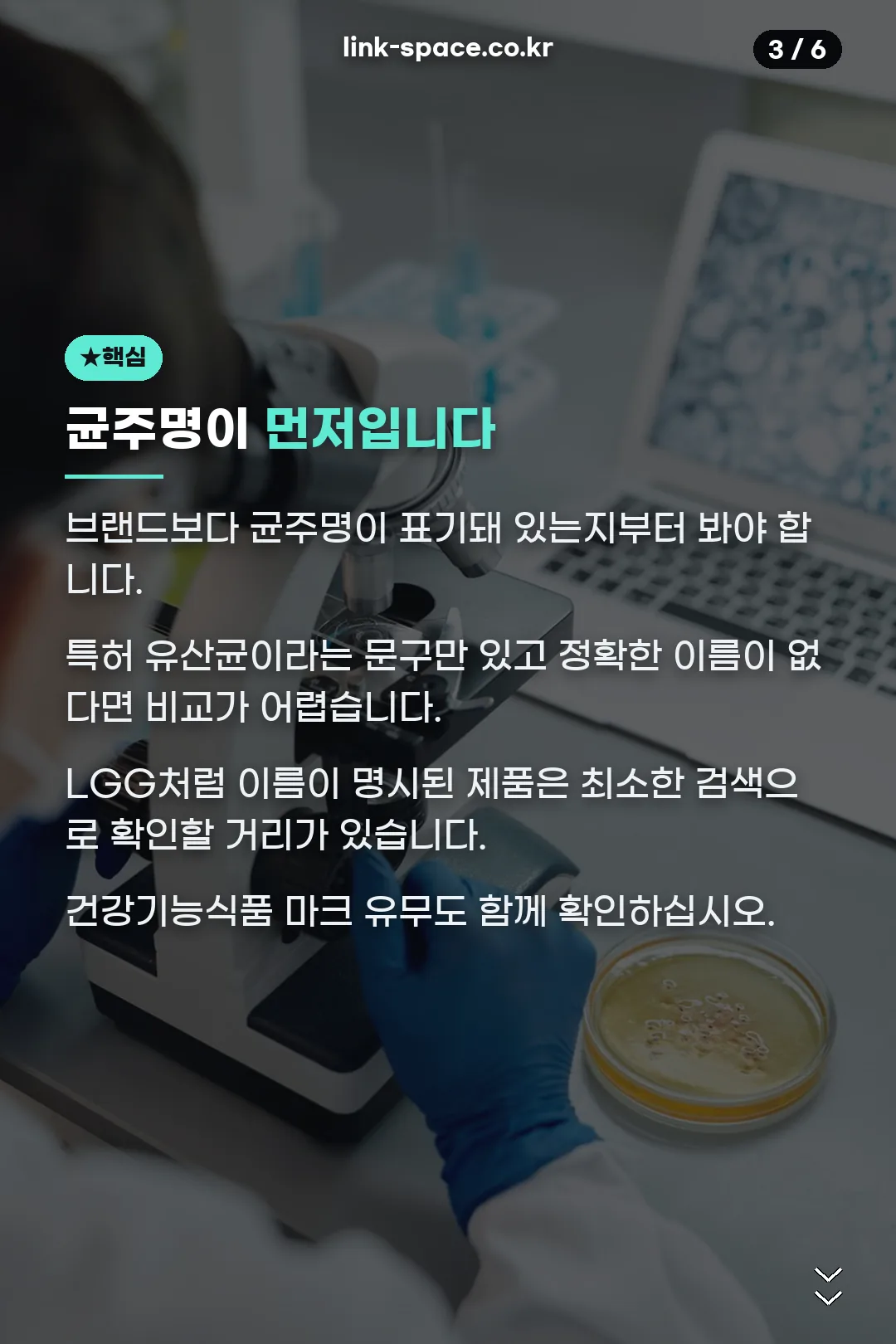 균주명 확인의 중요성