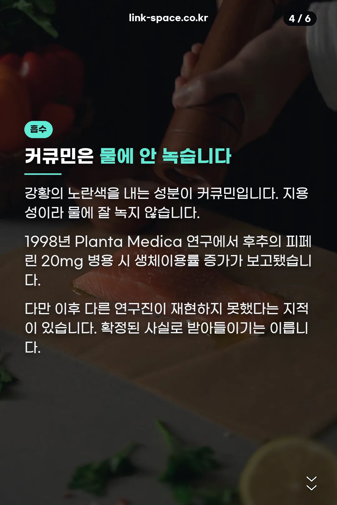 커큐민 흡수