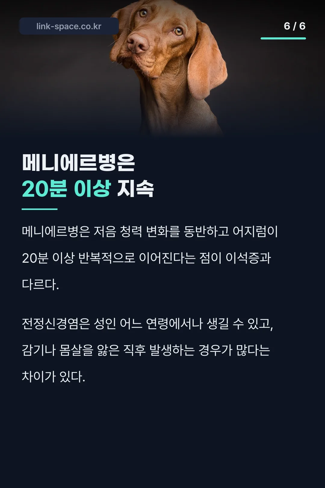 메니에르병은 20분 이상