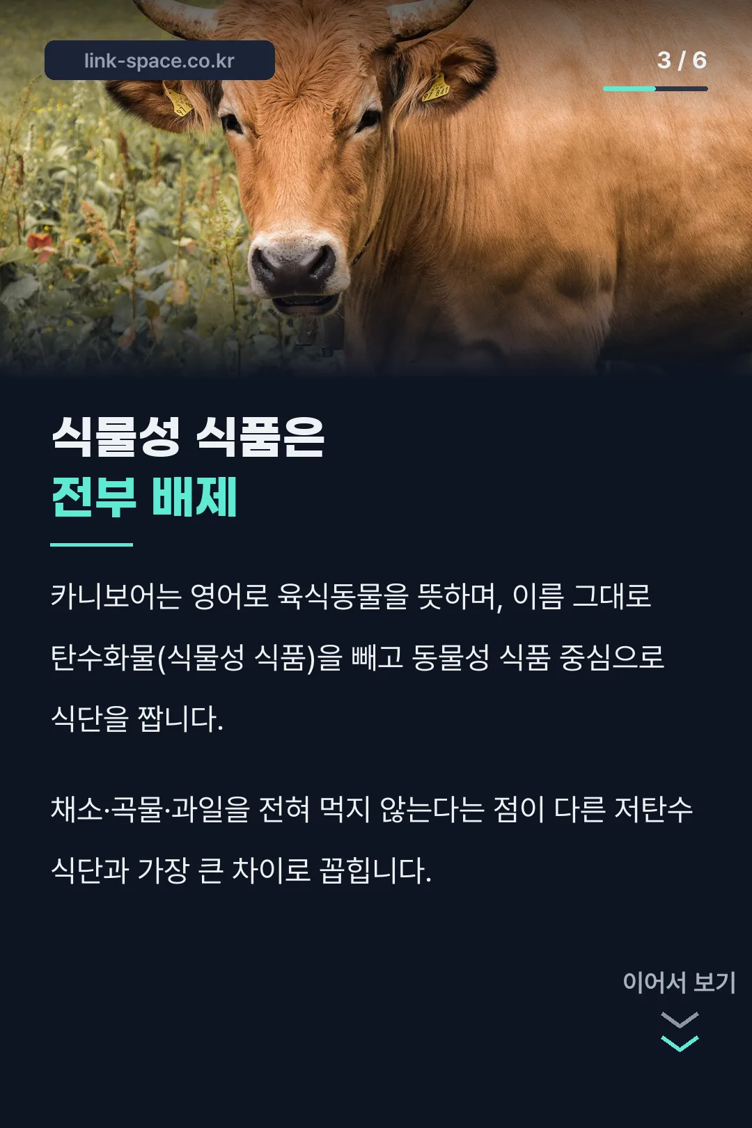 식물성 식품 배제 원칙