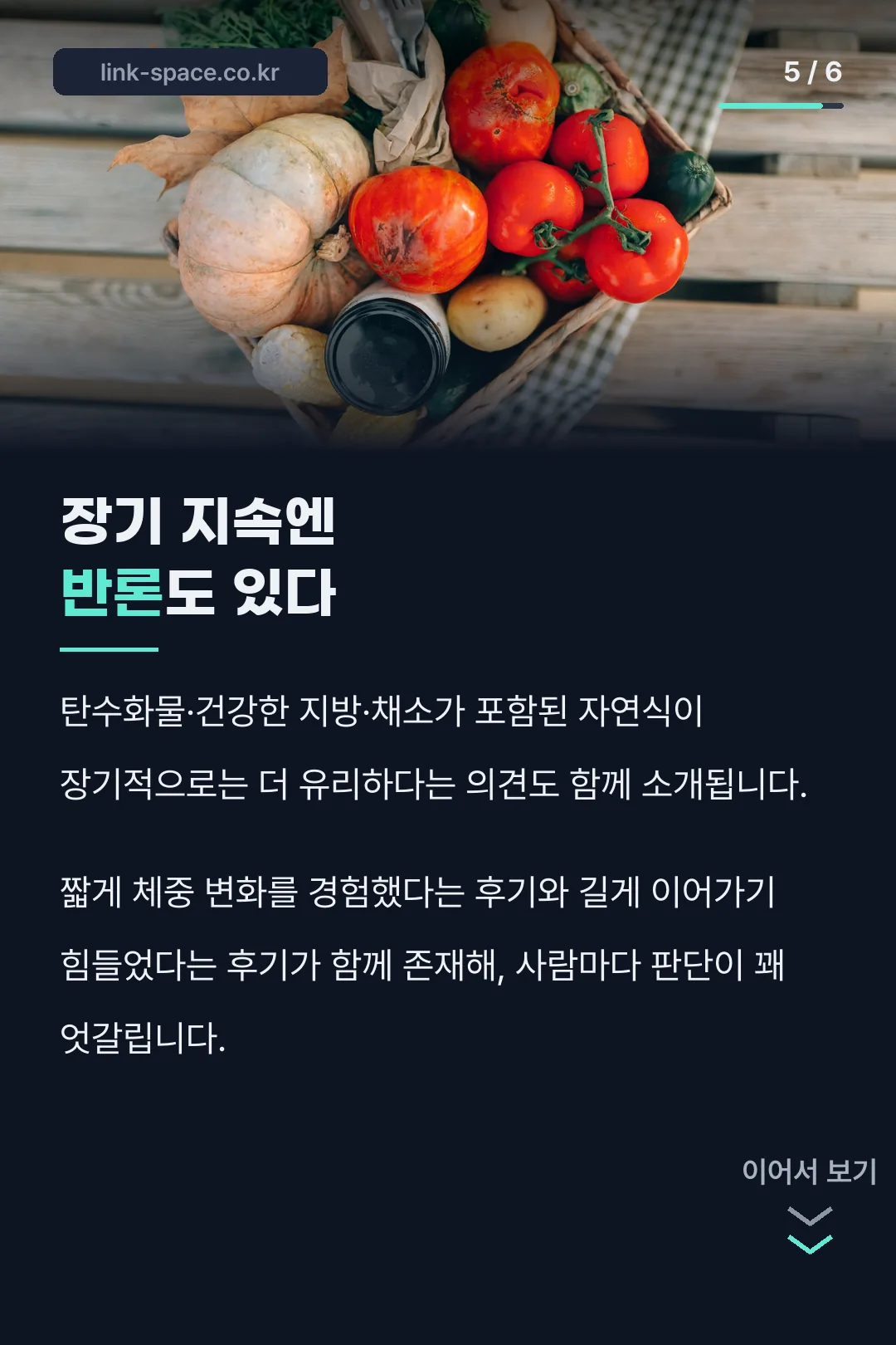 장기 지속 반론