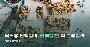 닥터유 단백질바 — 일반형과 프로의 단백질이 두 배 차이 납니다
