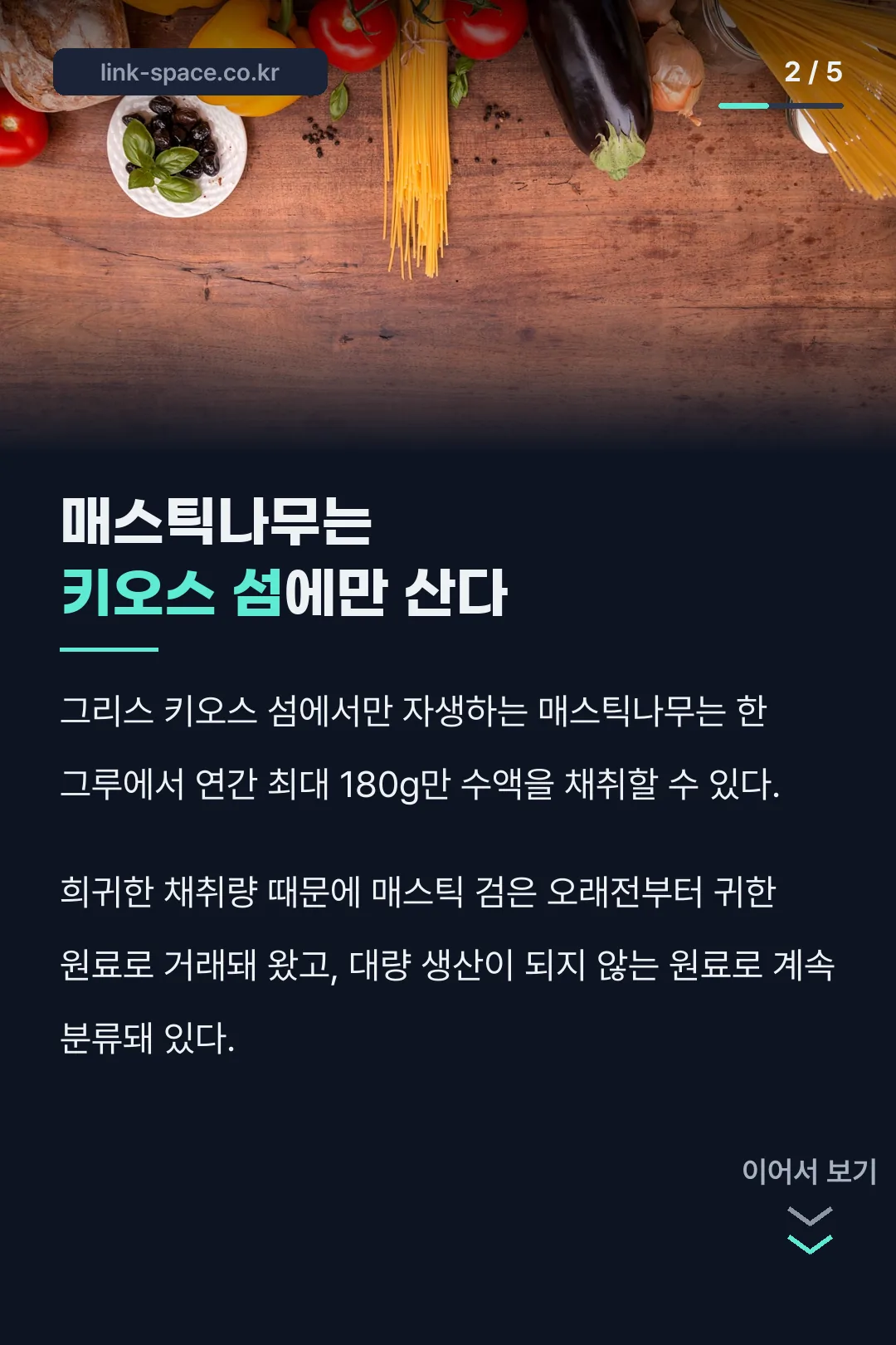 매스틱나무 키오스 섬 자생