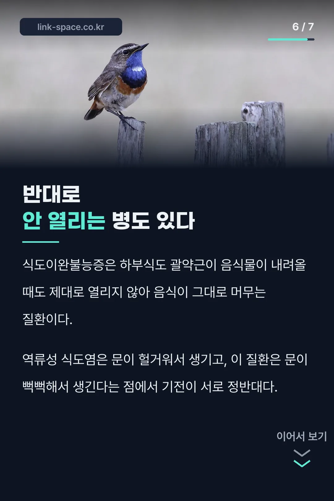 식도이완불능증 비교