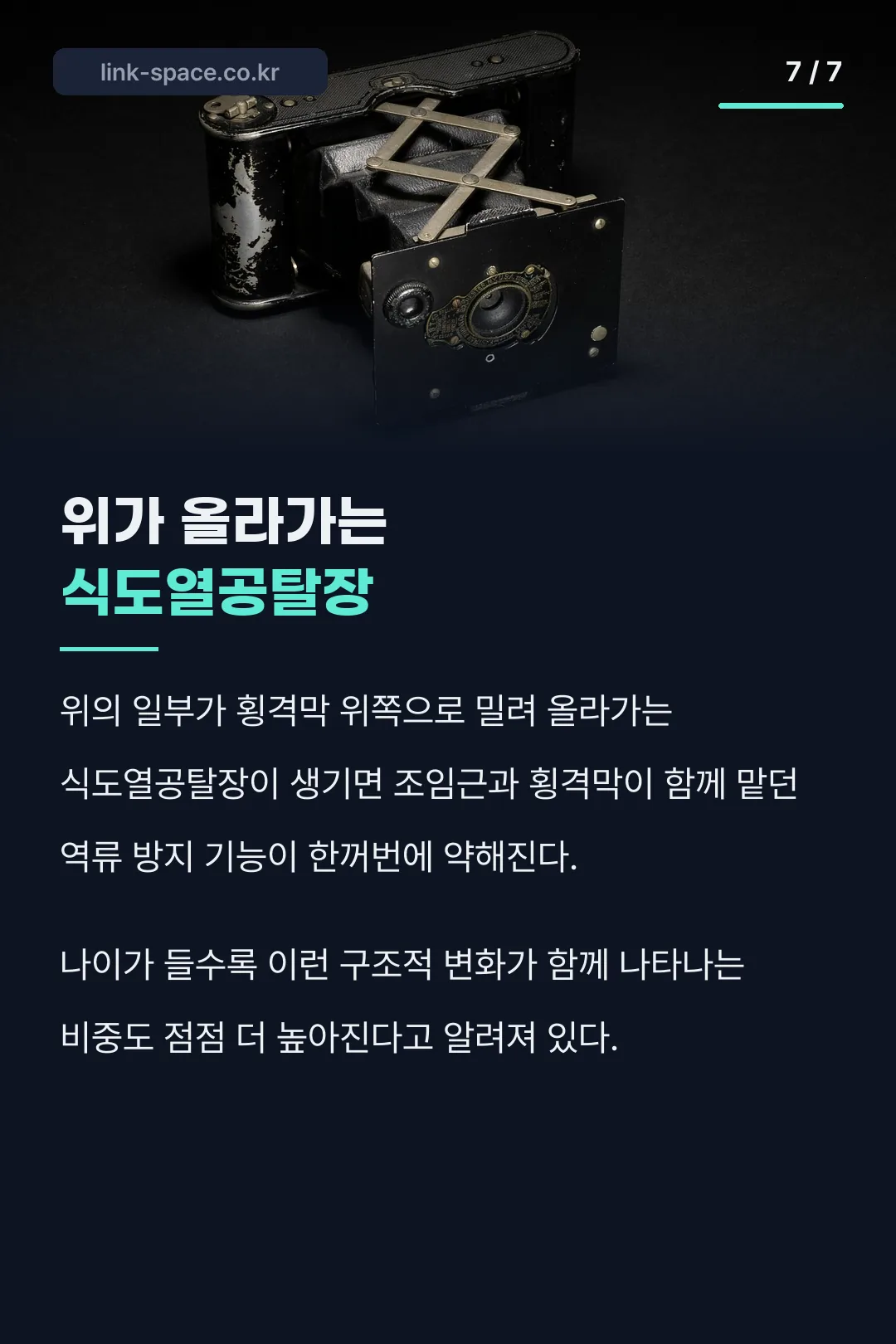 식도열공탈장 구조 설명
