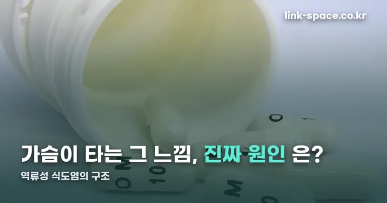 역류성 식도염 정리 썸네일