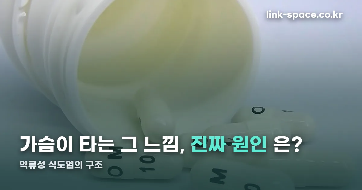 역류성 식도염 정리 썸네일