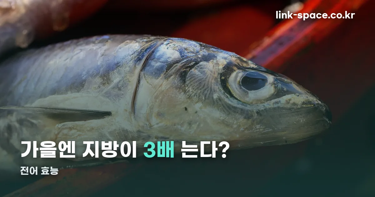 전어 효능 정리 썸네일