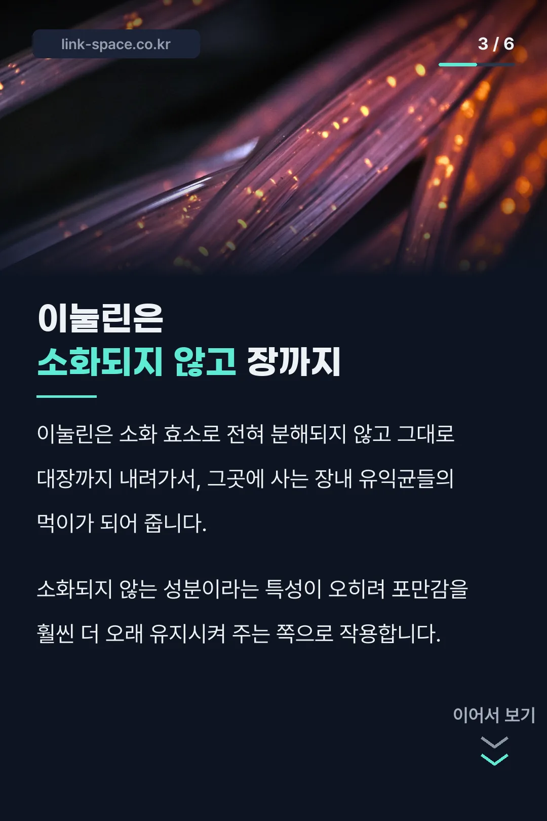 이눌린 프리바이오틱스 작용