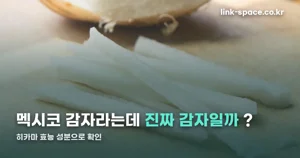 히카마 효능, 100g당 38kcal·이눌린 성분으로 확인했습니다