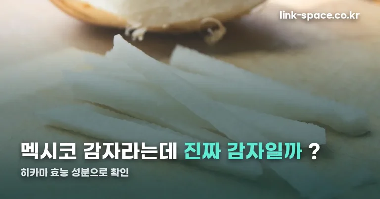 히카마 효능 정리 썸네일