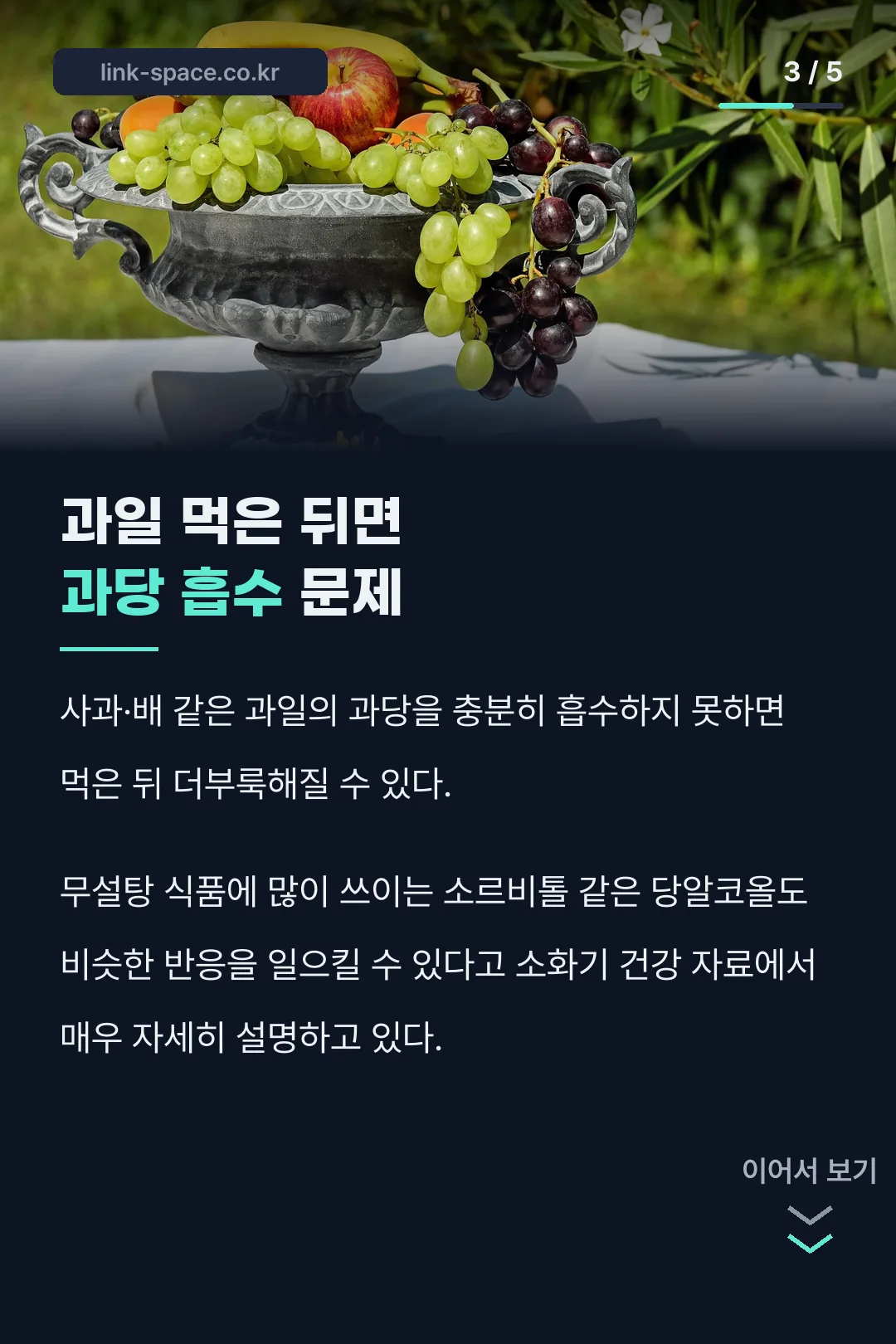 과당 흡수 문제 설명