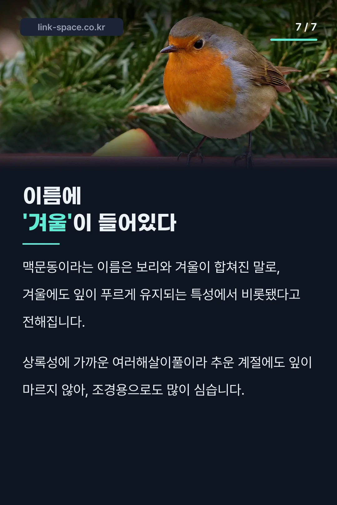이름의 유래