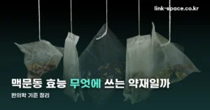 맥문동 효능 — 생맥산 처방과 한의학 기록 정리 (10월 4일 기준)