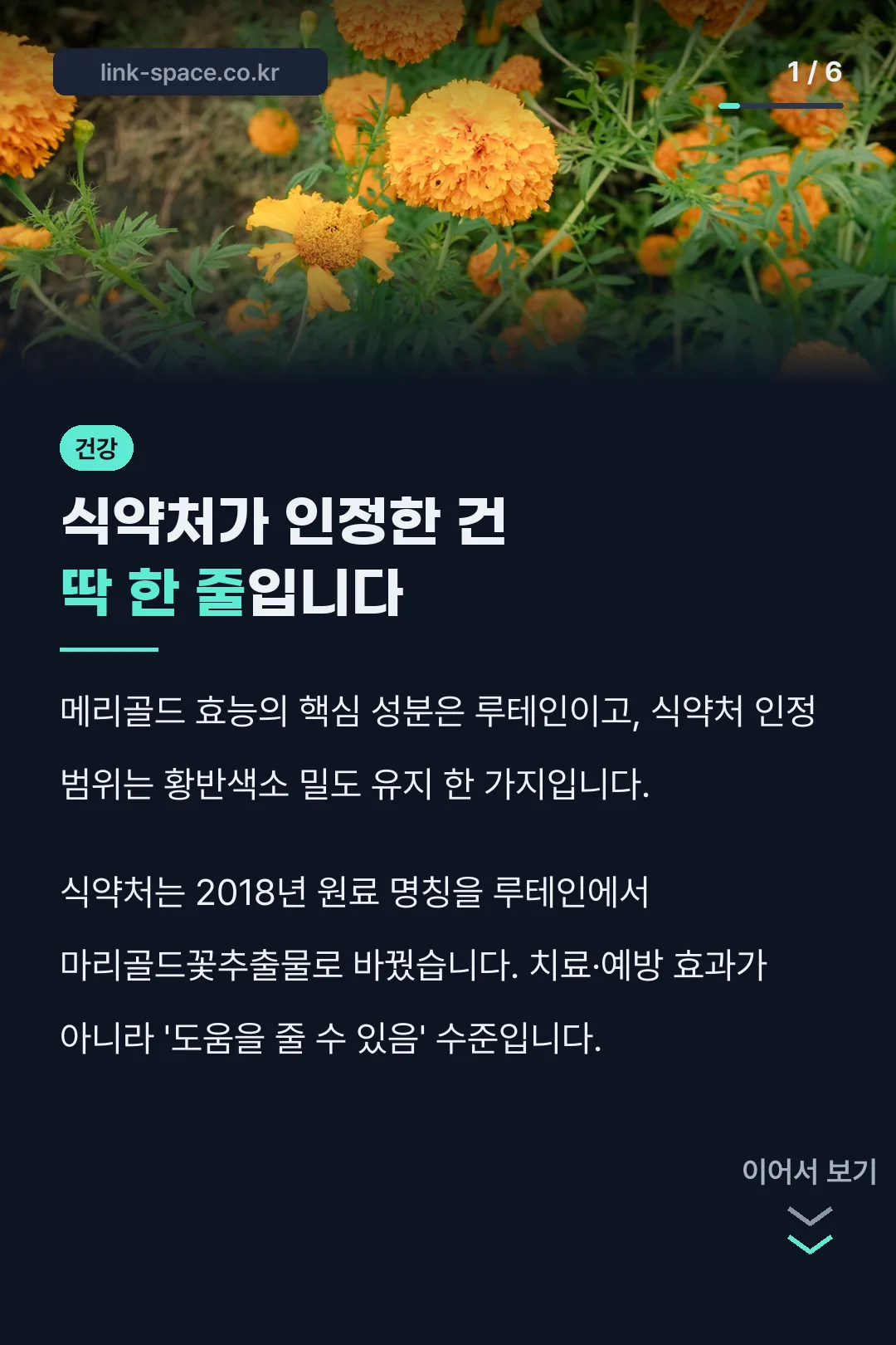 메리골드 효능 요약