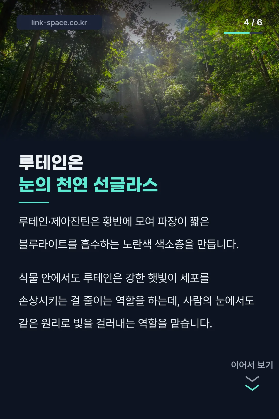 루테인과 블루라이트