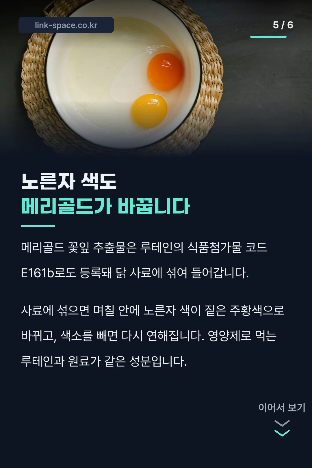 노른자 색과 메리골드