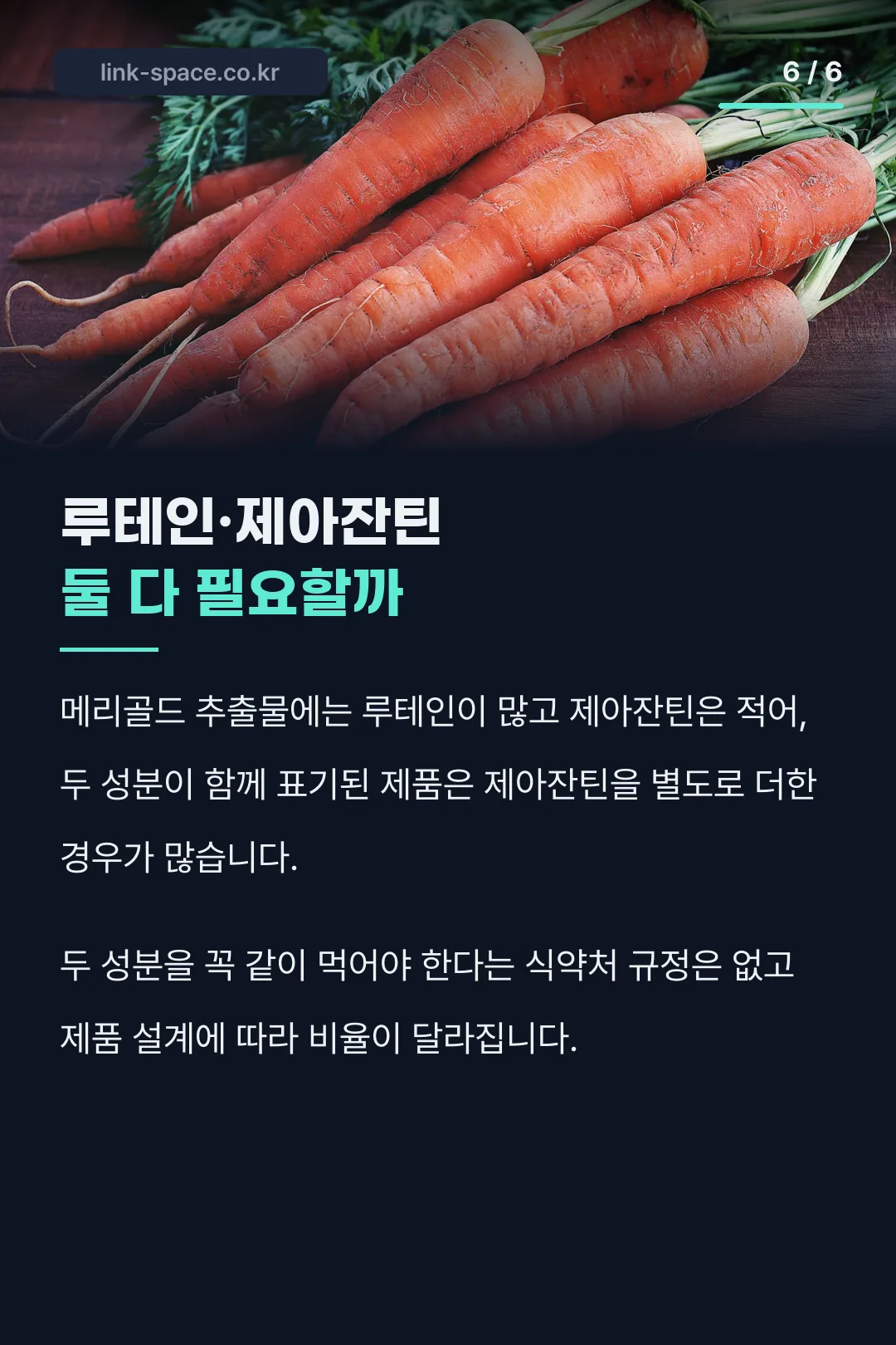 루테인 제아잔틴 차이