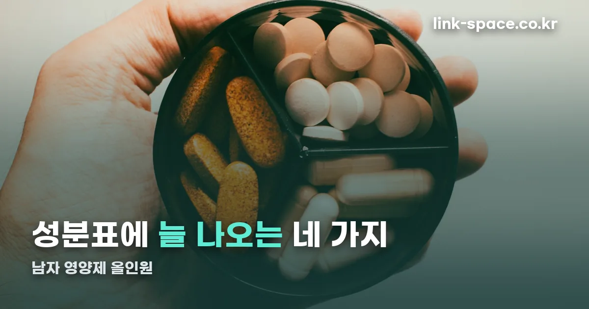 남자 영양제 올인원 정리 썸네일