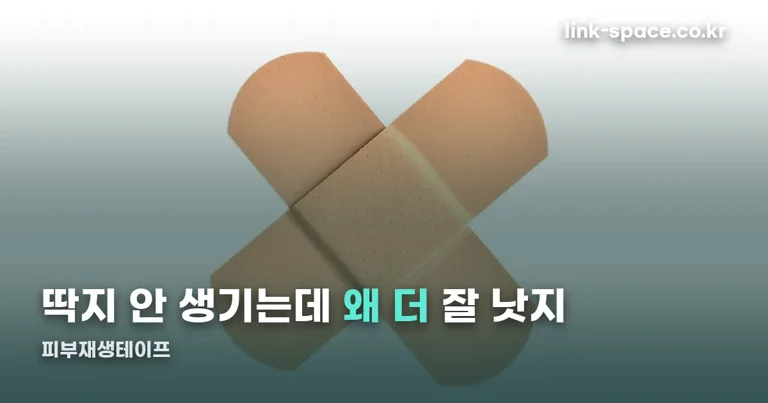 피부재생테이프 정리 썸네일