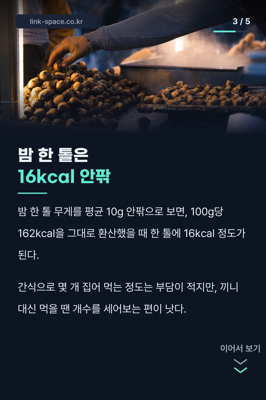 밤 한 톨의 칼로리